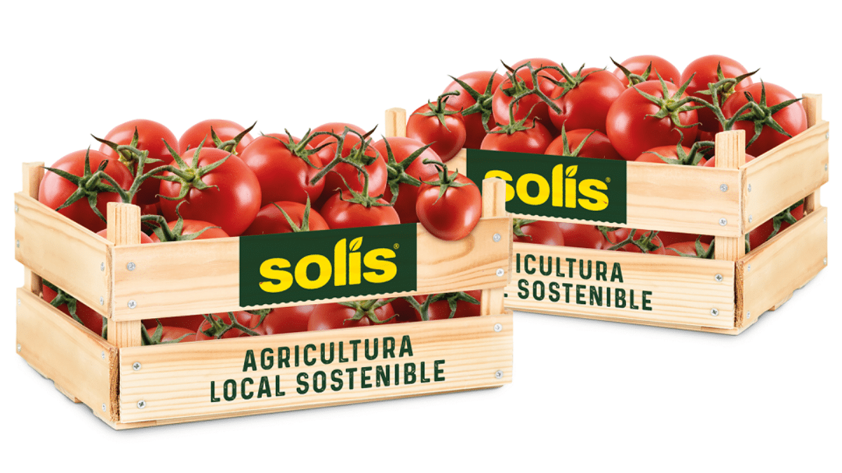 Nestlé ahorra más de 1,4 millones de m3 de agua en el cultivo de tomate con “SOLÍS RESPONSABLE”