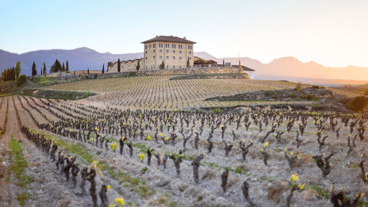 Wine Imperio: el Vintae Wine Fest prepara una de romanos para su próxima edición
