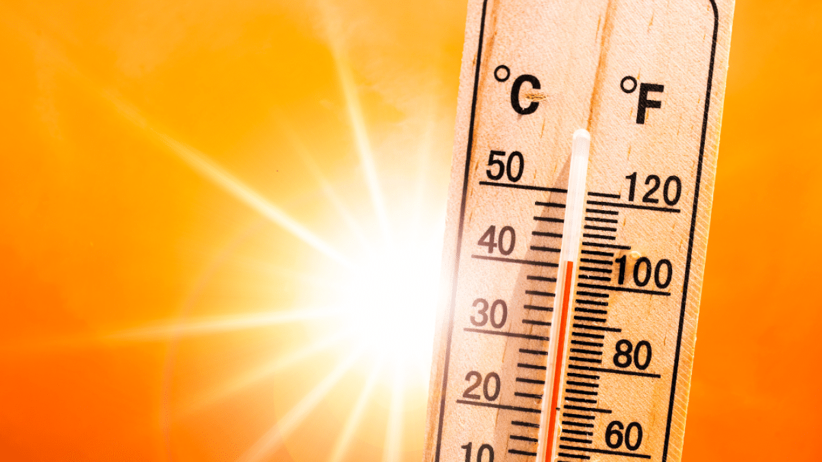 El Calor y la Salud: Cuidados y Recomendaciones para Protegernos en Temporadas de Altas Temperaturas 
