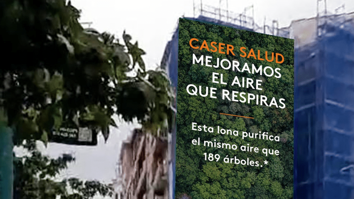 Caser “planta” el equivalente a 187 árboles en plena calle Juan de Garay en Bilbao