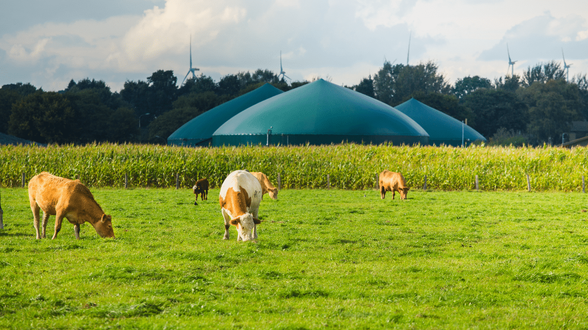 Cepsa inicia su actividad en el desarrollo de plantas de producción de biometano a partir de residuos agrícolas y ganaderos