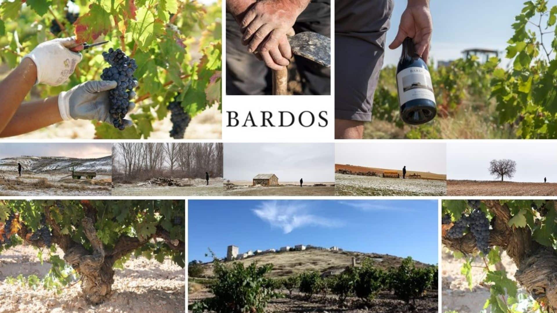 Bodega Bardos presenta sus nuevos vinos de zona y pueblo, una apuesta por la Ribera más remota