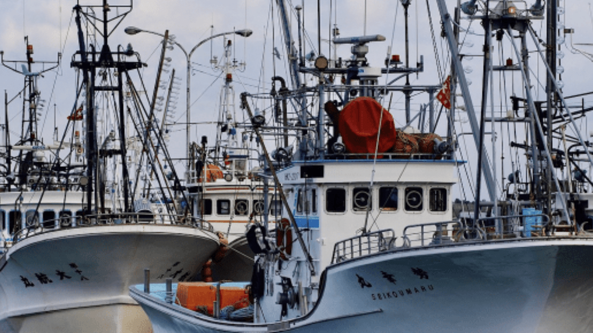 Pesca España avanza en su compromiso con la sostenibilidad de la mano del Pacto Mundial de la ONU