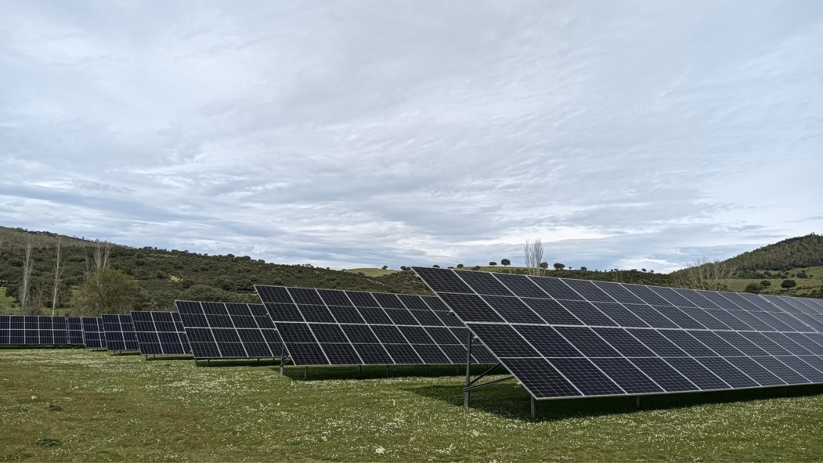 Nestlé España eleva su apuesta por las energías  renovables con su tercer parque solar fotovoltaico 