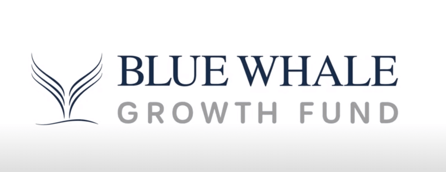 Blue Whale AM busca introducirse en el mercado de fondos español