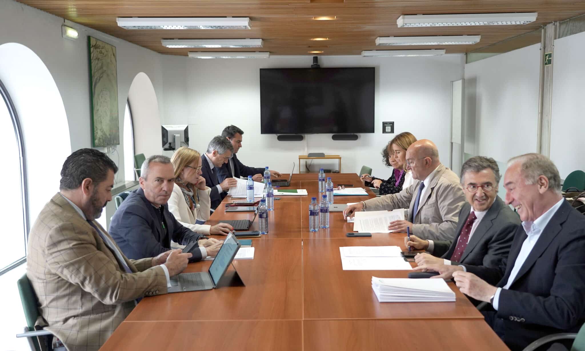 Carnero propone incluir el viaducto de Daniel del Olmo en la Sociedad Alta Velocidad