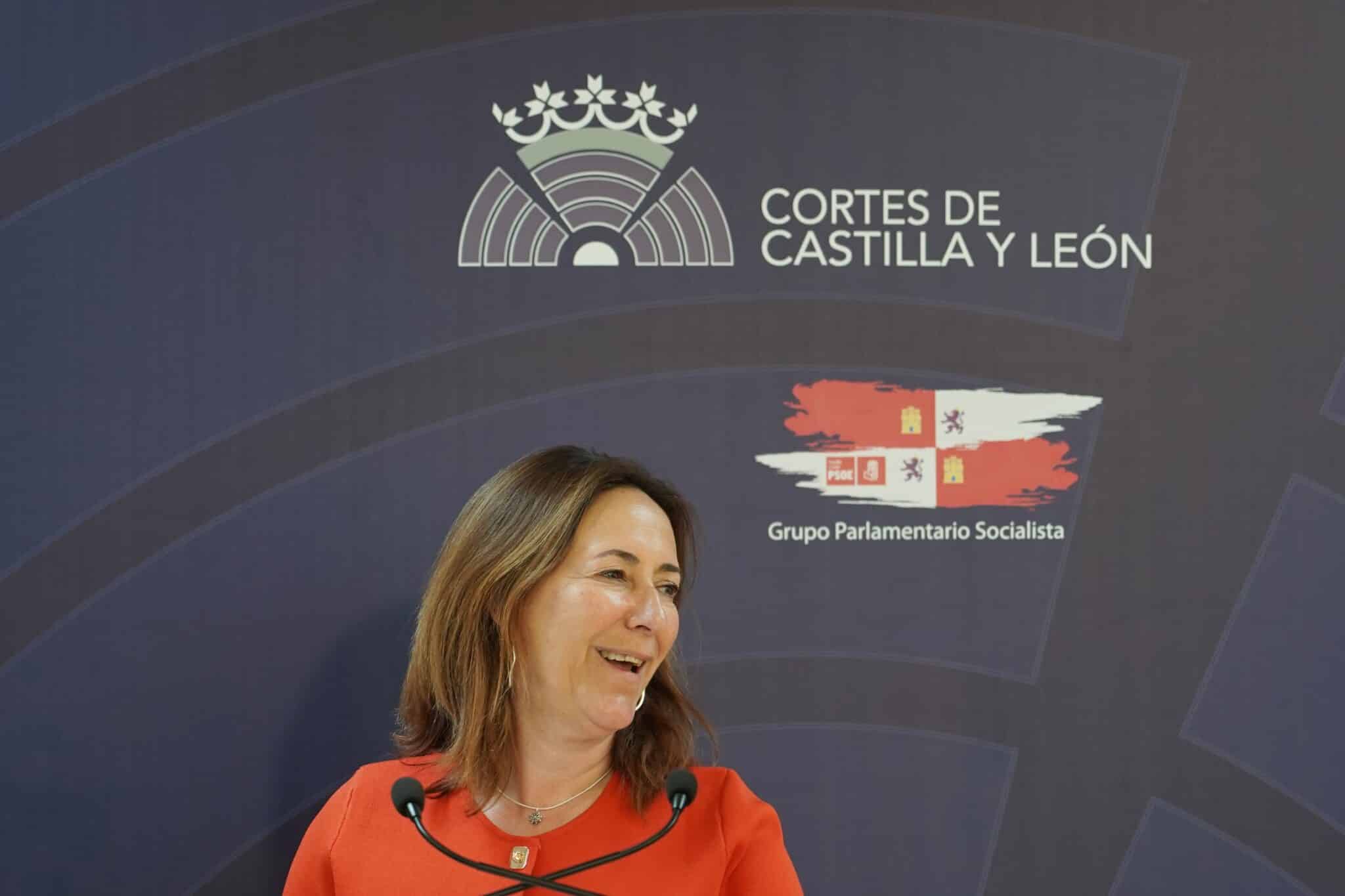 Rubio (PSOE) dice que Mañueco «está entregado a la extrema derecha»