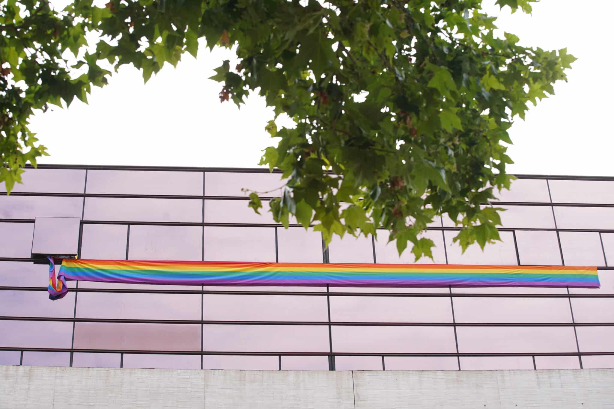 Pollán envía un requerimiento al PSOE para que retire la pancarta ‘arco iris’ de un ventanal de las Cortes