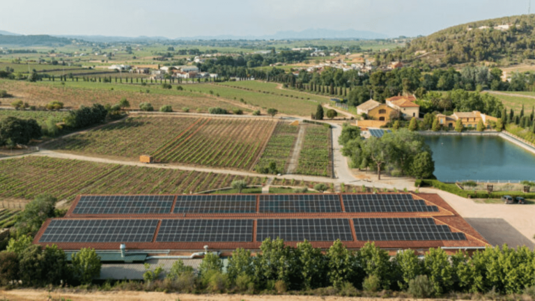 Familia Torres para adaptarse al cambio climático aumenta la reutilización de agua regenerada