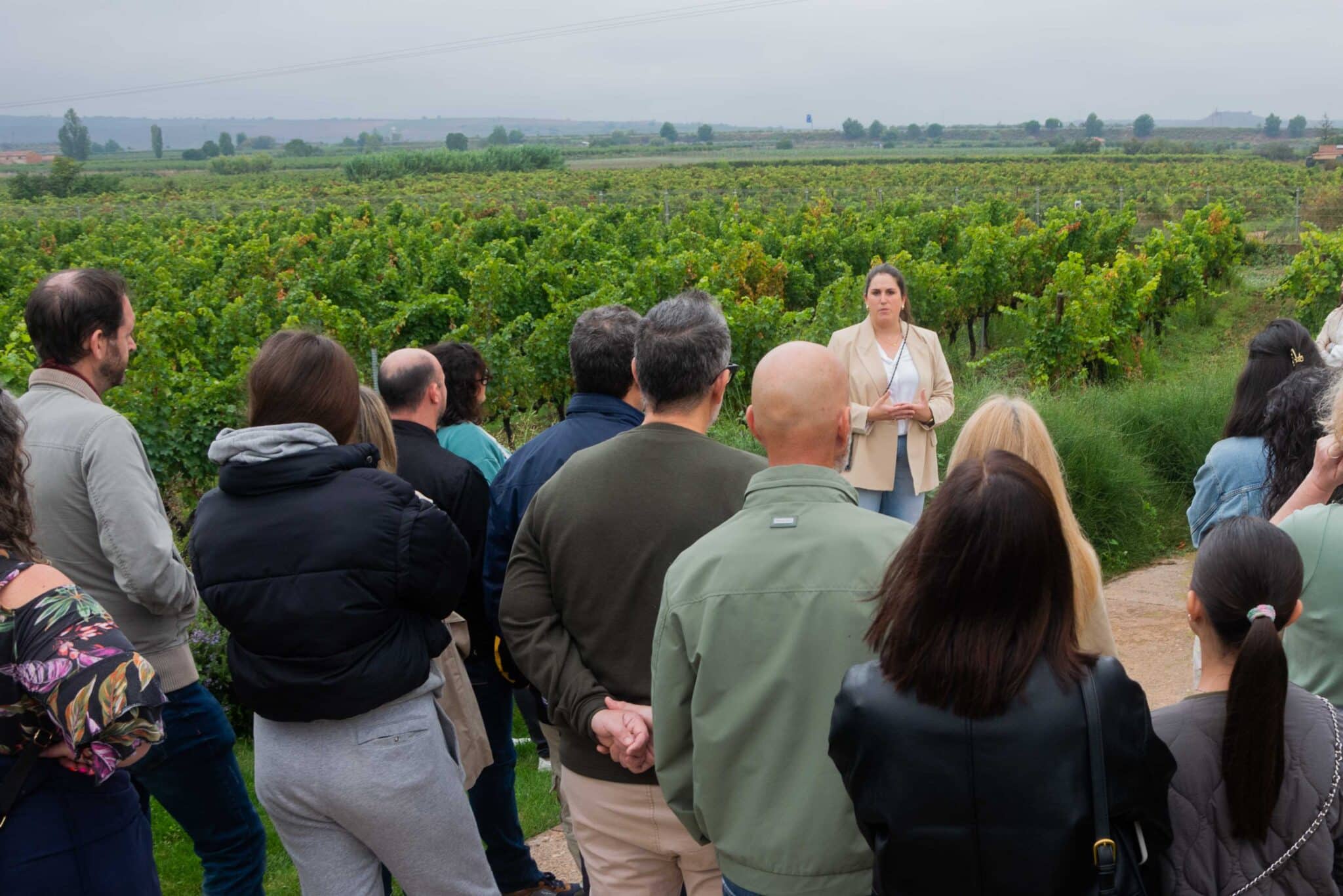 BODEGAS LUZÓN exporta desde Murcia su ‘Vendimia abierta’ a Bodegas Corral en La Rioja