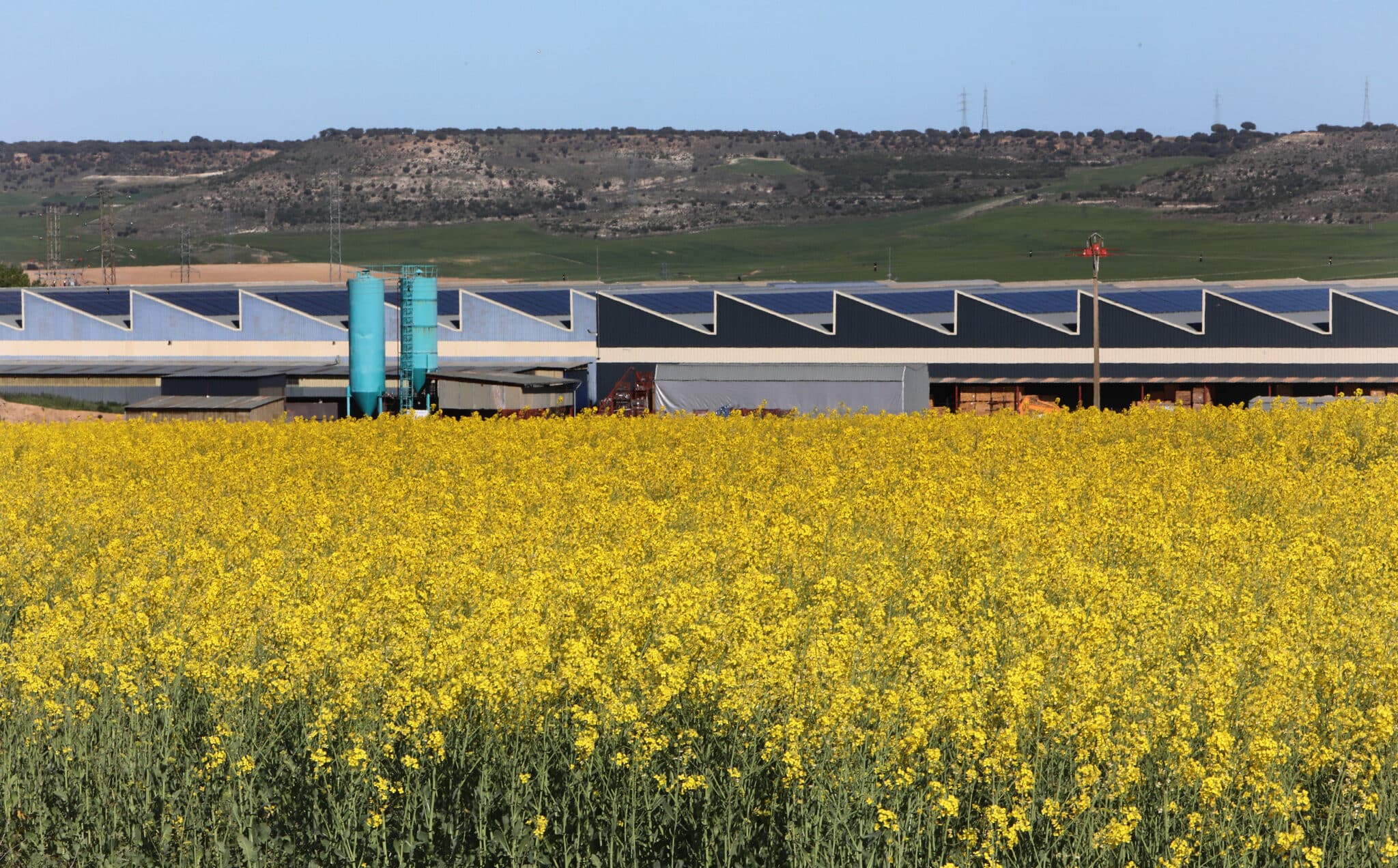 Agricultura e industria alimentaria cosechan el 12 por ciento del empleo y el 11 del VAB regional, según Unicaja