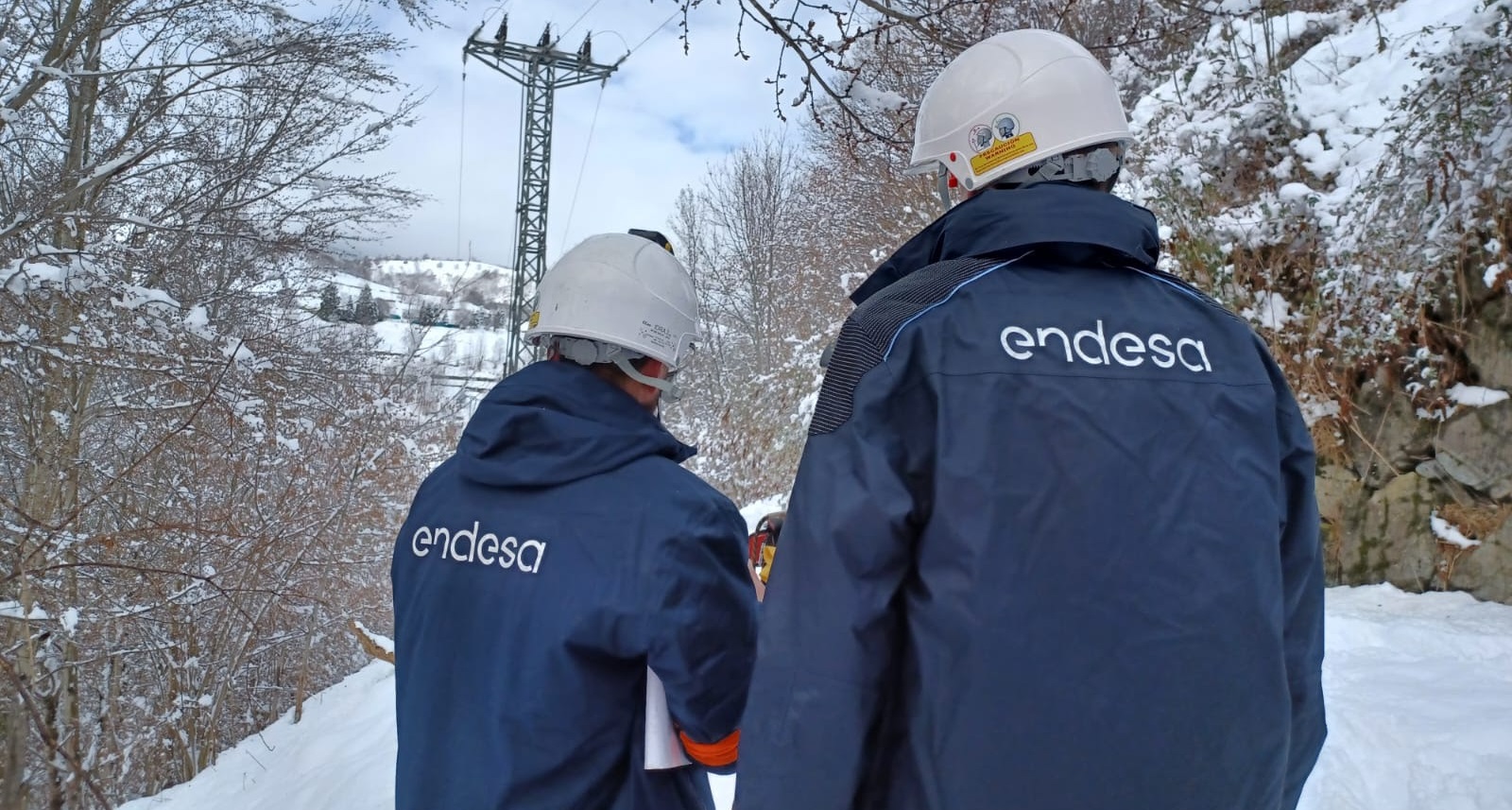 Endesa destina 33 millones a mantener y reforzar la red de cara al invierno