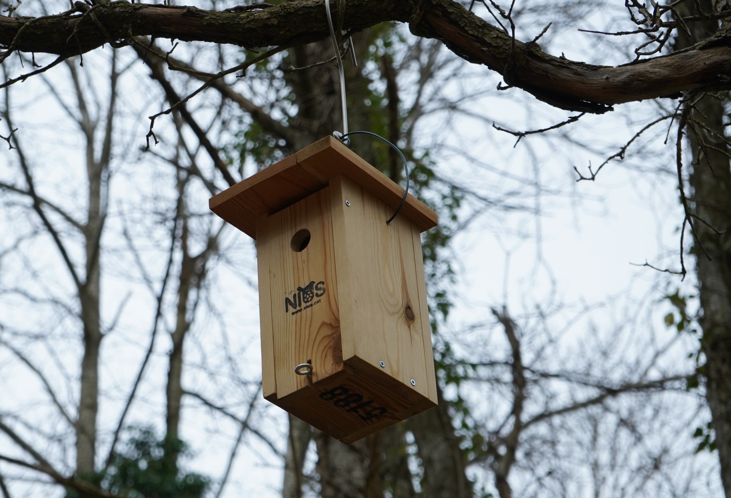 AGUA VILADRAU y el Grup de Naturalistes d’Osona – ICHN impulsan la biodiversidad en el Parque Natural del Montseny