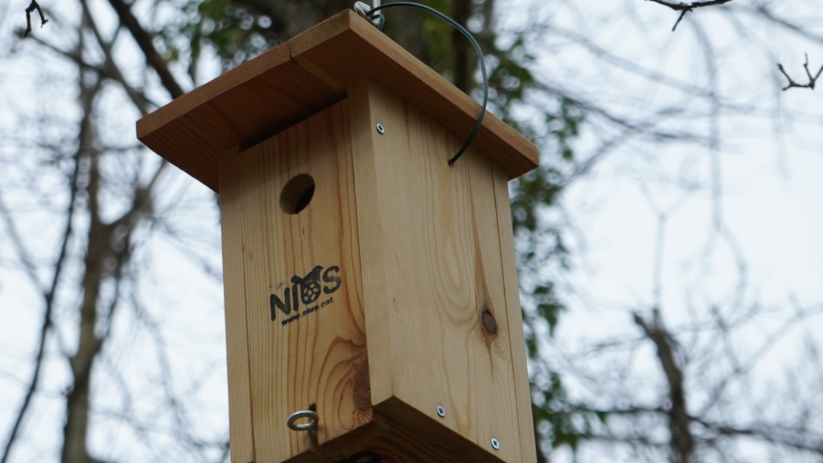 Agua Viladrau y el Grup de Naturalistes d’Osona impulsan la biodiversidad en el Montseny
