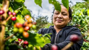 Oikocredit acerca la problemática del cambio climático en el sector cafetero en su nuevo webinar