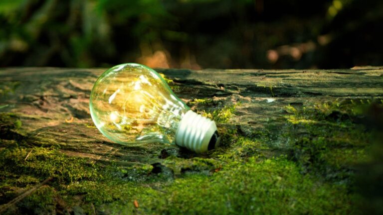 Empresas europeas incumplen la normativa climática por desconocimiento en el cálculo de su huella de carbono