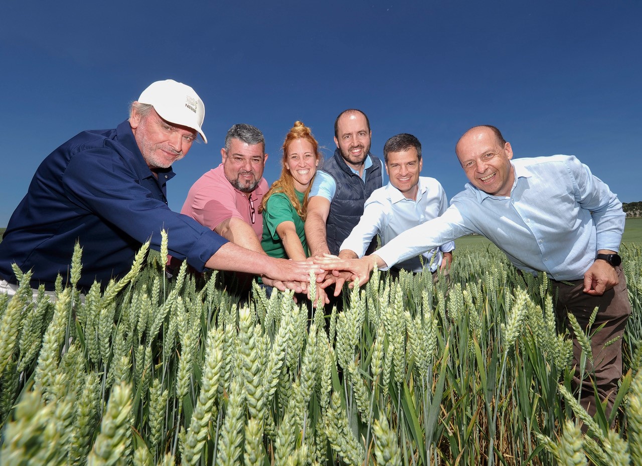 Todos los cereales para las papillas infantiles de Nestlé en España, de agricultura regenerativa  