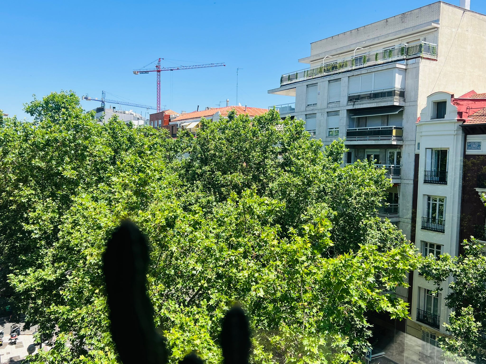 Los precios de la vivienda cerrarán 2025 con un aumento de entre el 5% y el 7%
