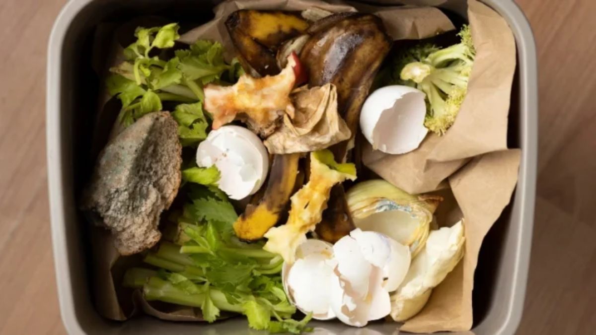 El proyecto “La alimentación no tiene desperdicio” logra reducir más del 70% de la pérdida de alimentos en diez años