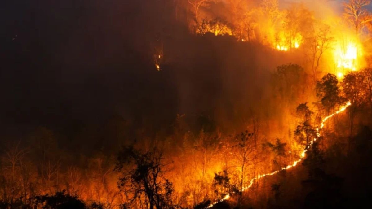 CaixaBank y MicroBank movilizan financiación especial en ocho comunidades afectadas por los incendios