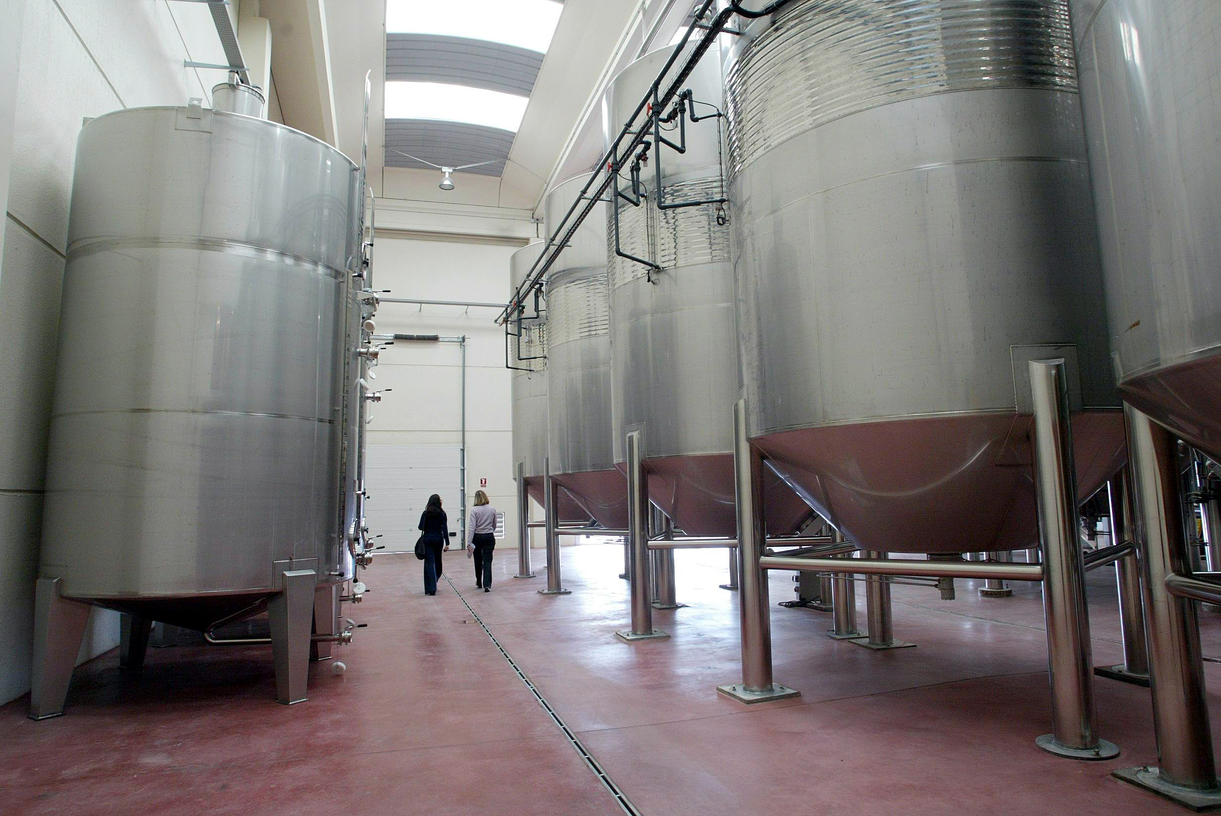 UCCL acusa a las bodegas de la DO Ribera del Duero de «arruinar» a los viticultores con bajos precios