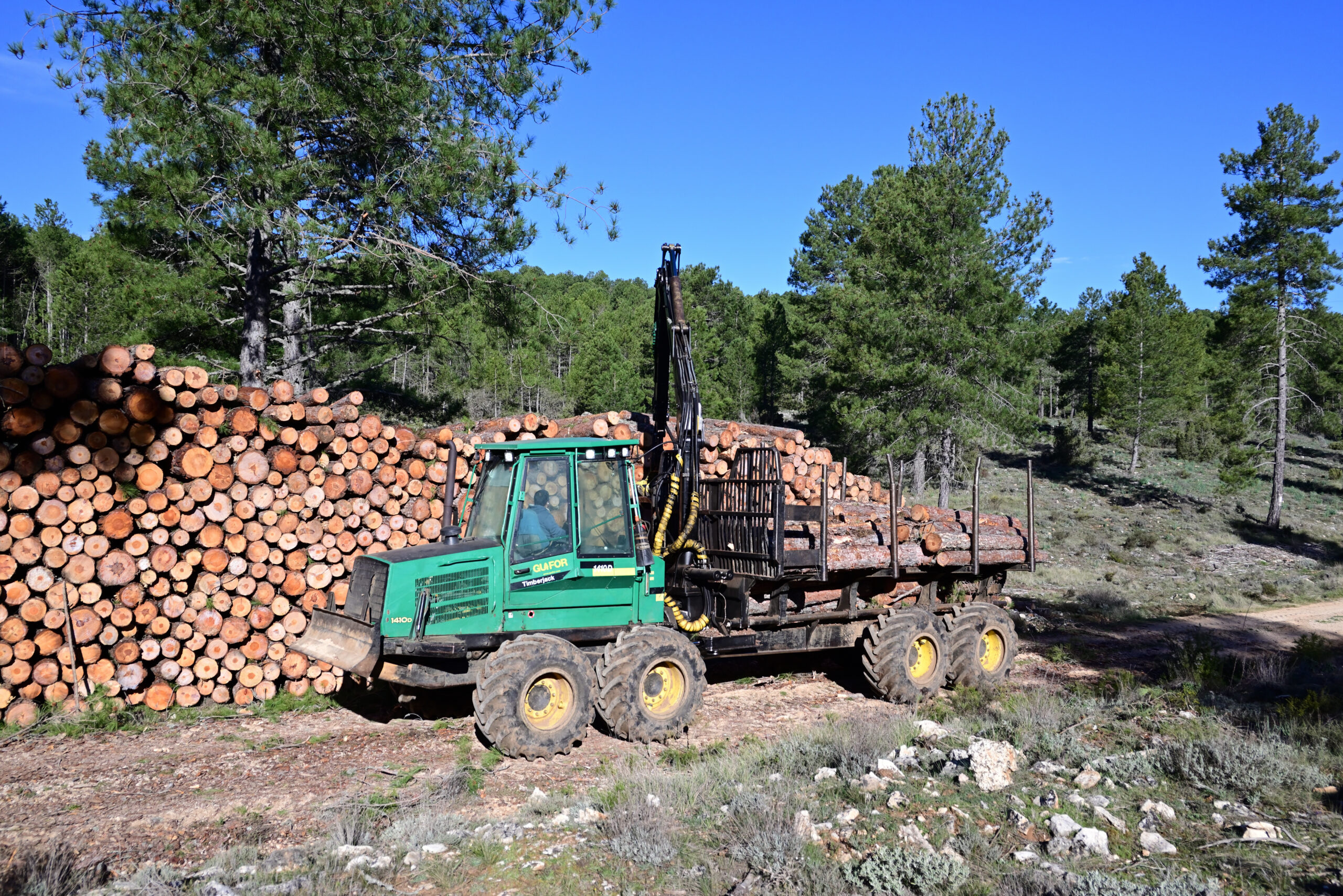 Nace la Asociación AGEFEM para impulsar la madera en la construcción