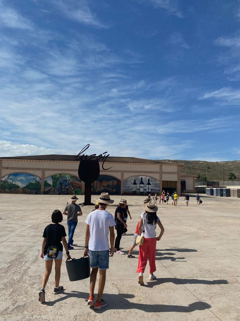 BODEGAS LUZÓN arranca la XIV edición de ‘Vendimia Abierta’