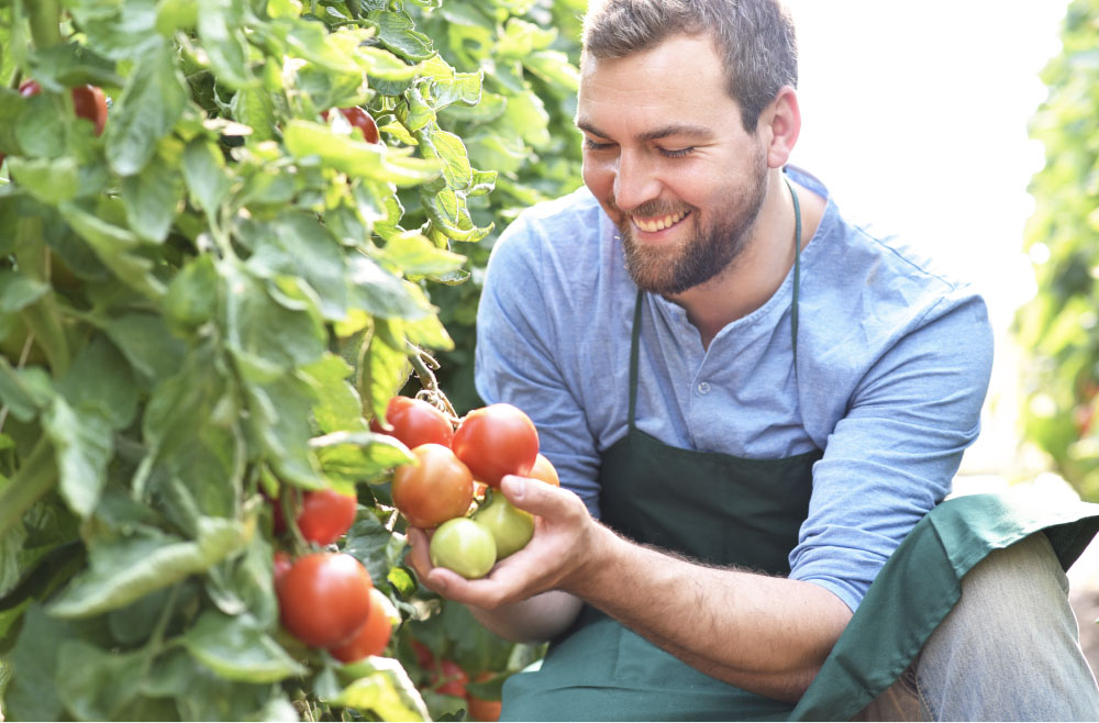 Unicaja apoya al negocio hortofrutícola con una amplia oferta que mostrará en Fruit Attraction
