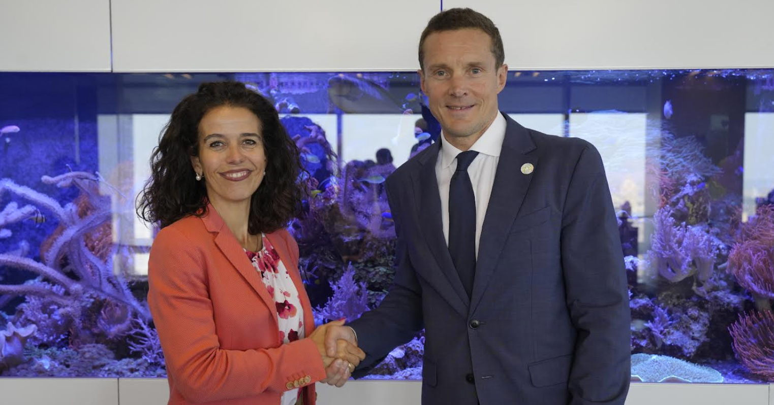 Moeve se une a la Global Renewables Alliance para acelerar la transición energética