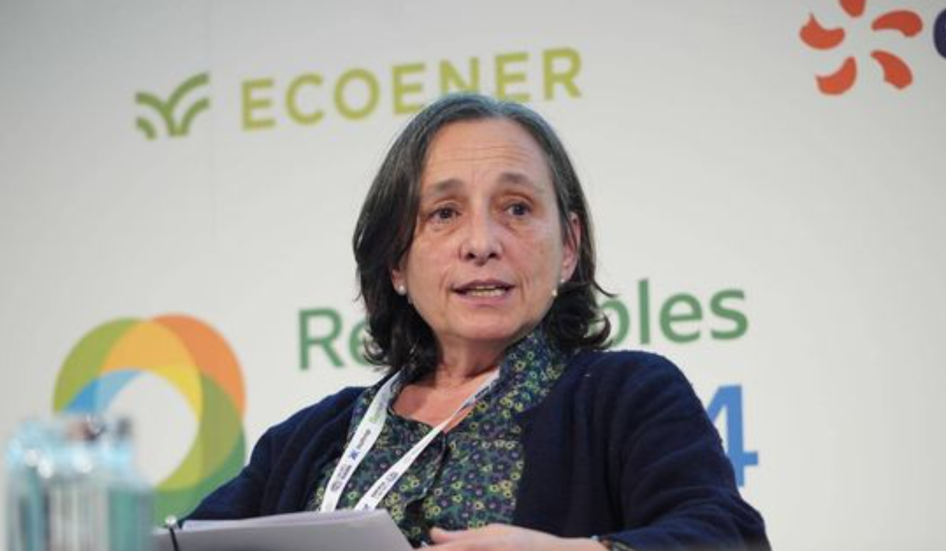 Red Eléctrica niega que los recientes cambios de tensión detectados hayan tenido riesgo