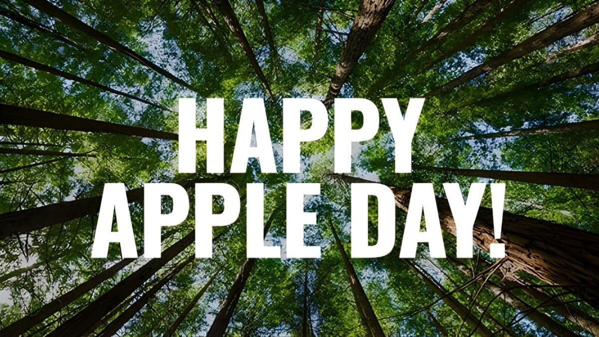 Apple Tree reafirma su compromiso con la sostenibilidad y alcanza los 5.000 árboles plantados en zonas afectadas por incendios