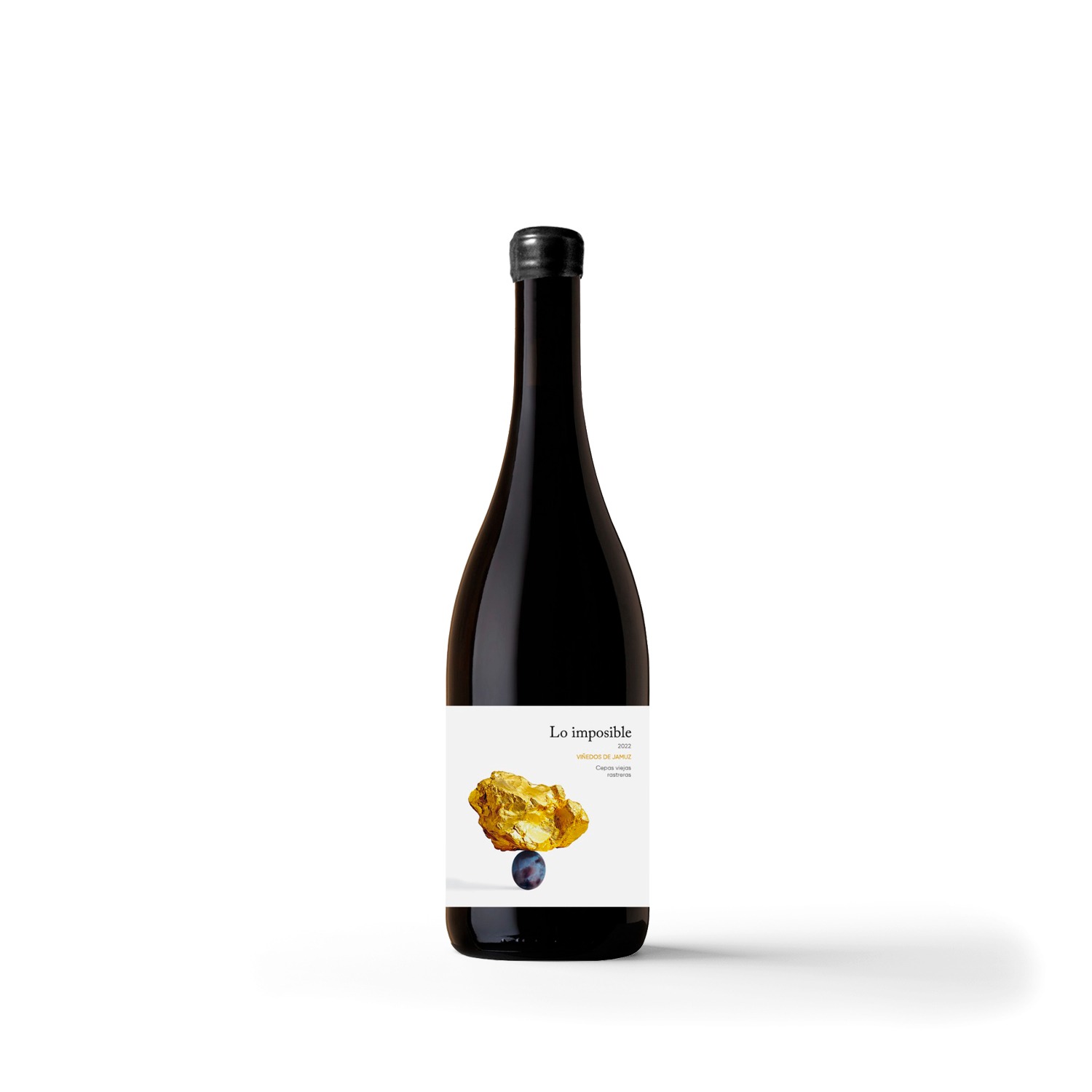 Tras recuperar viejas garnachas en Gredos,Lo Imposible encuentra en Jamuz (León) el viñedo perfecto para su nuevo vino