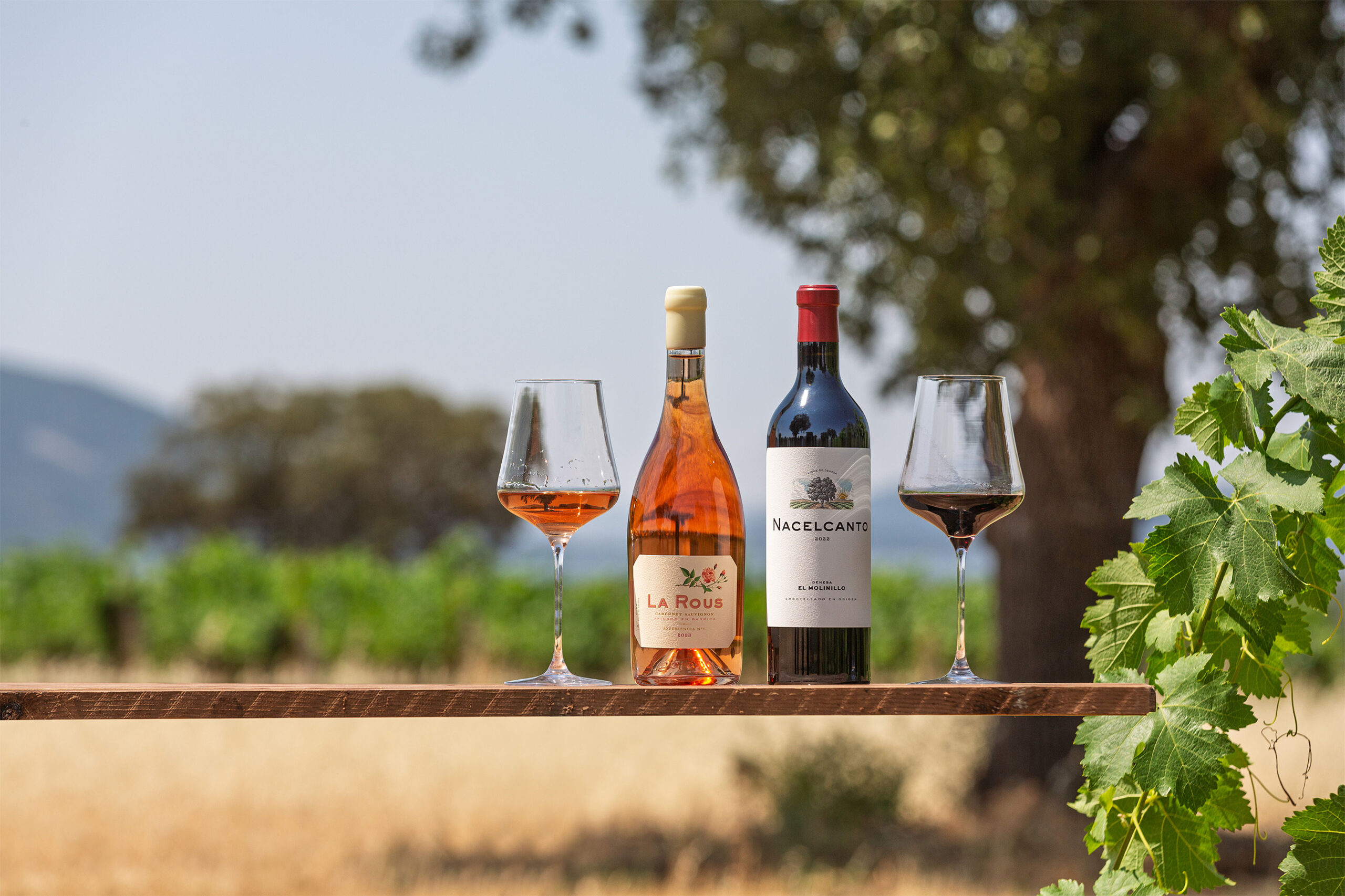 Un rosado y un tinto para saborear la dehesa