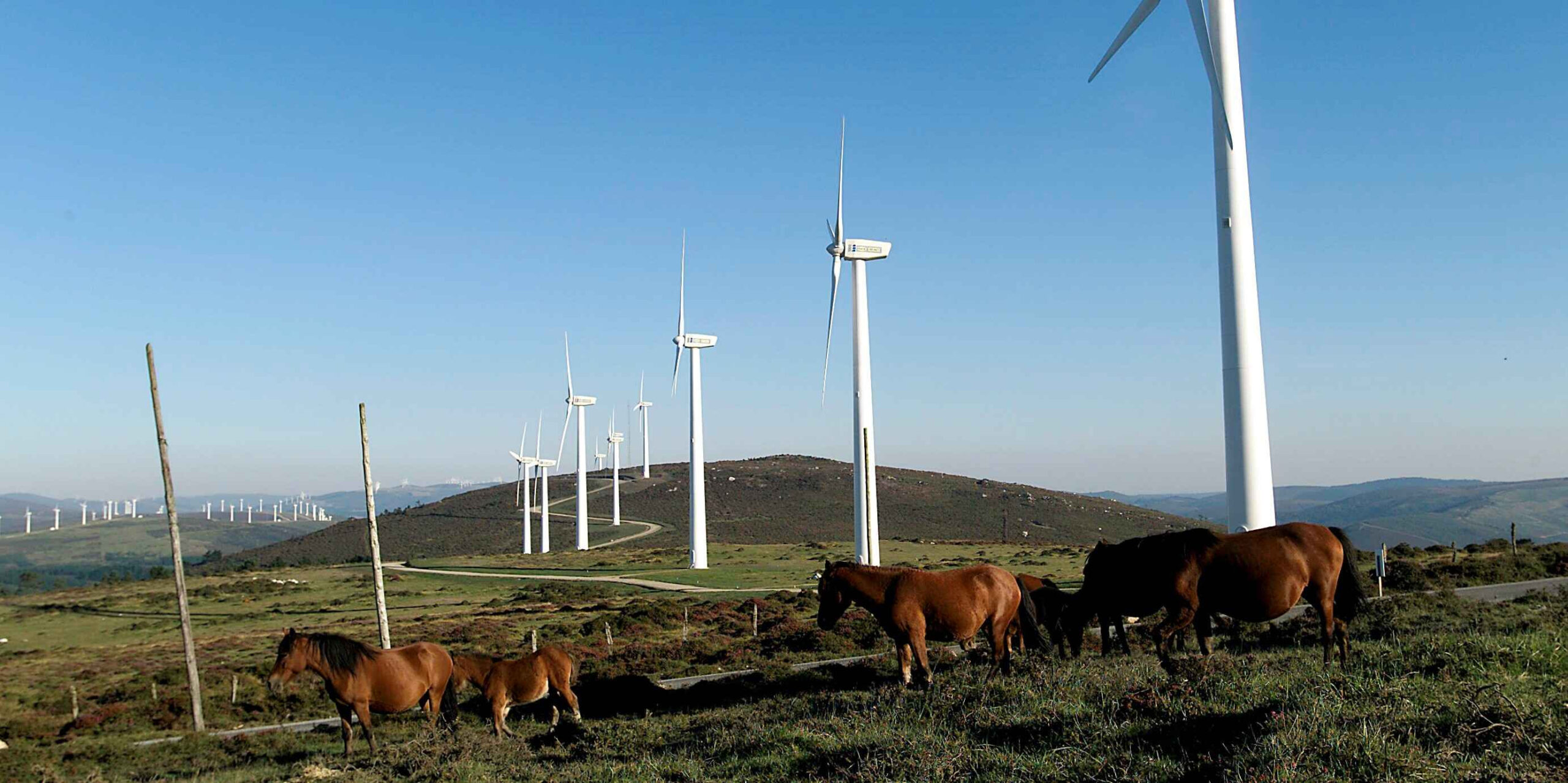 Endesa, la compañía que más ha contribuido a la reducción de emisiones en España en 10 años