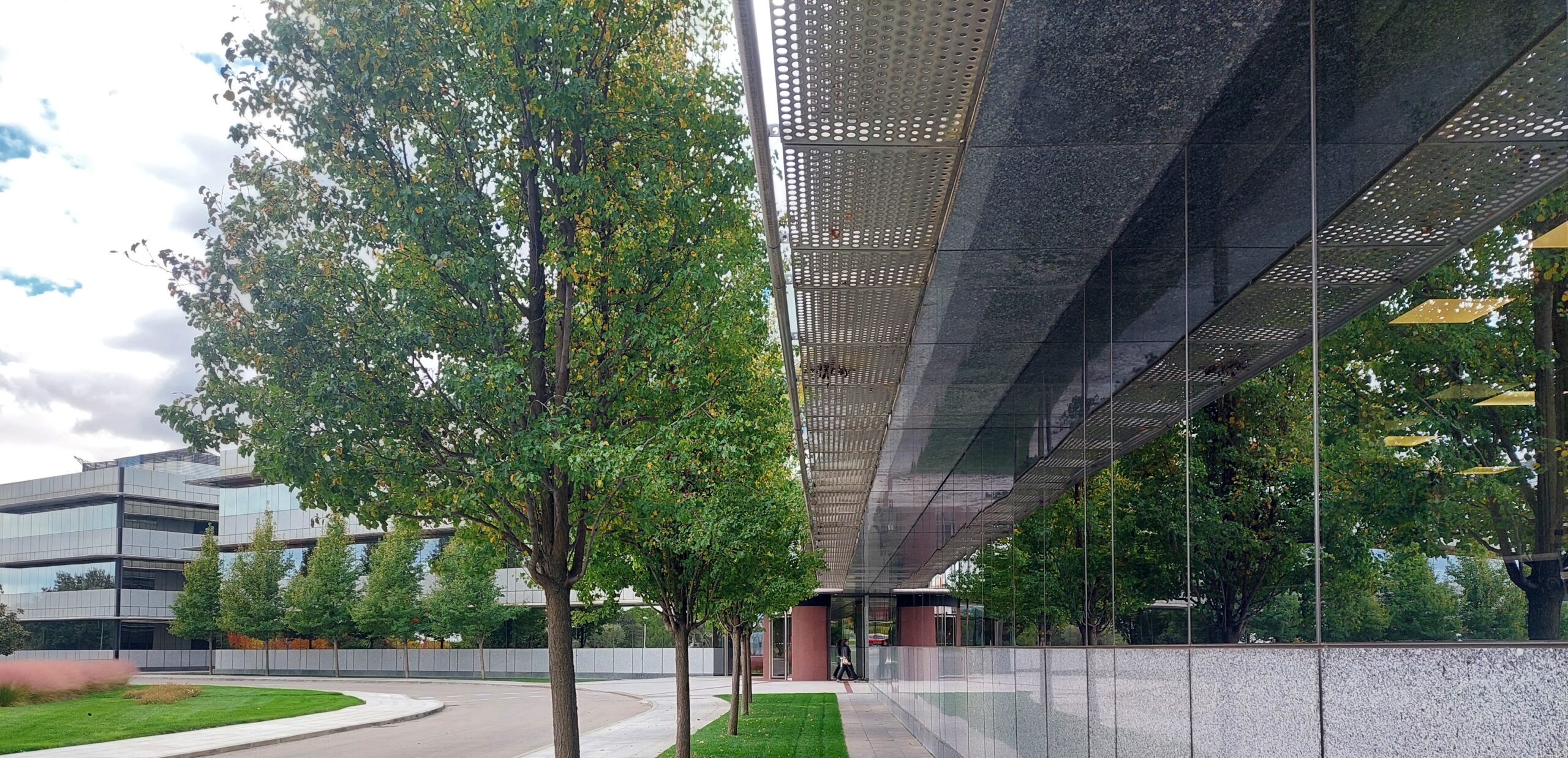 Mapfre renueva con Lobelia para analizar el impacto de los riesgos climáticos en 16 millones de clientes