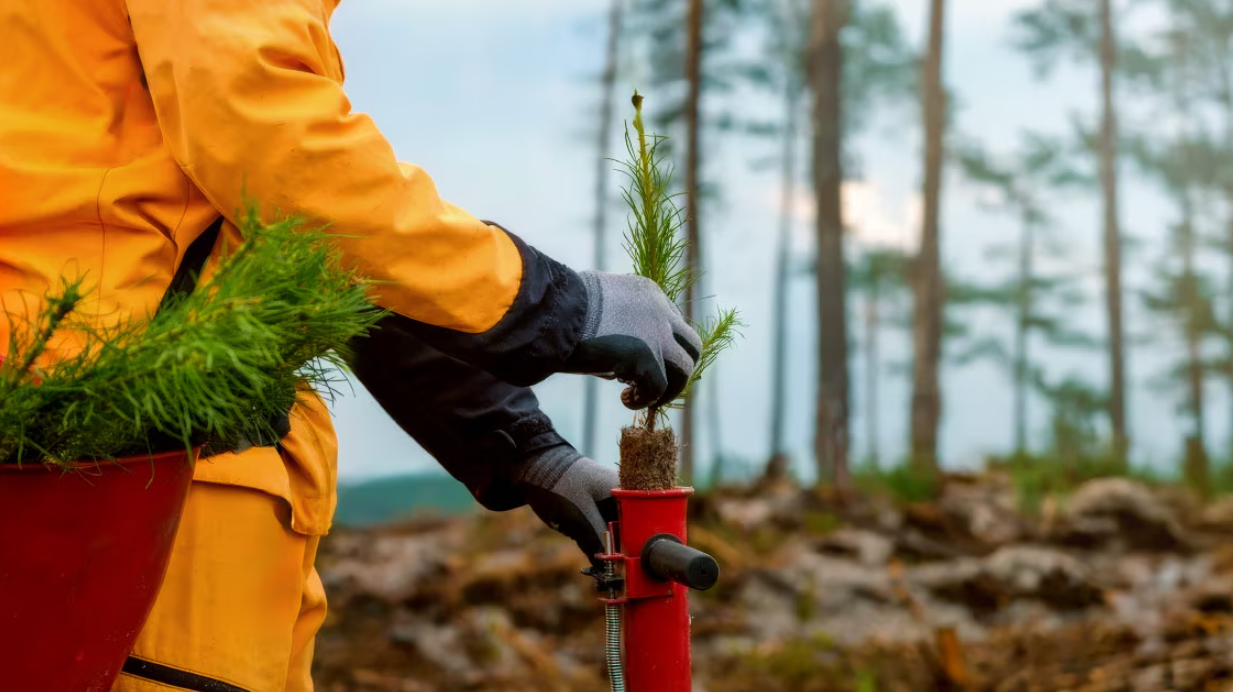 BBVA AM repartirá un millón de euros en proyectos solidarios