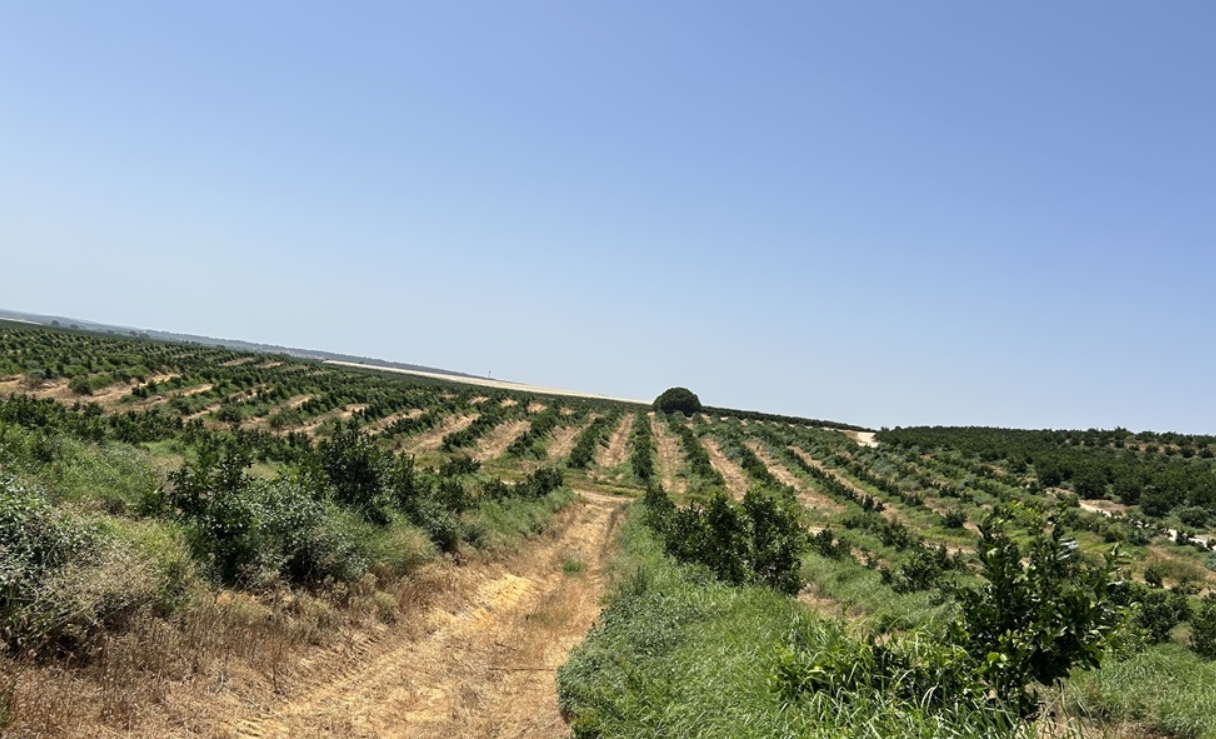 Landa, vehículo de inversión de Bankinter Investment y Nuveen, cierra su quinta operación