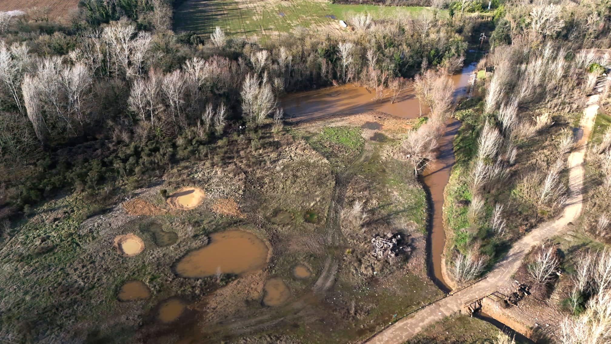 Nestlé colabora con el Consorci del Ter en la restauración de zonas húmedas que favorecen la biodiversidad fluvial