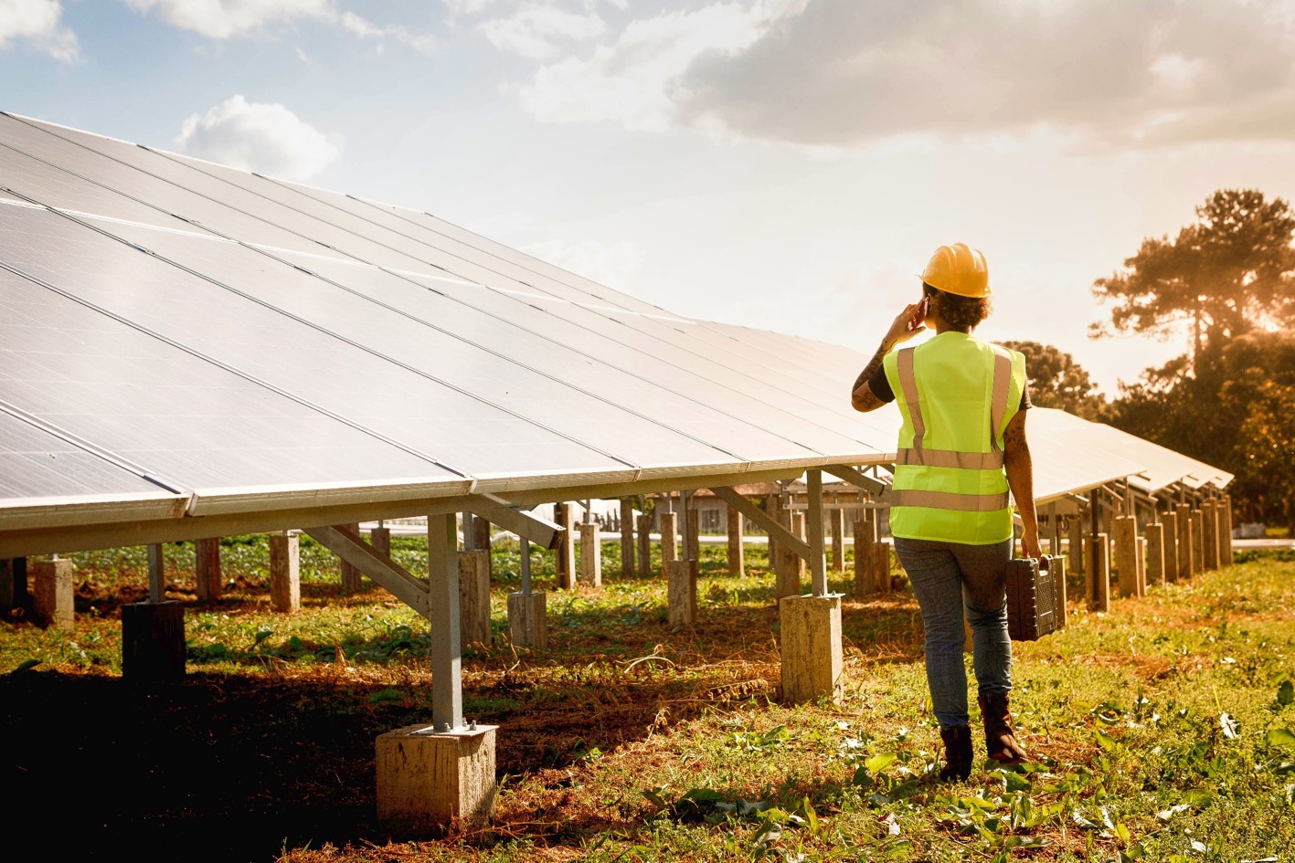 Santander, líder mundial en financiación de energías renovables en 2025