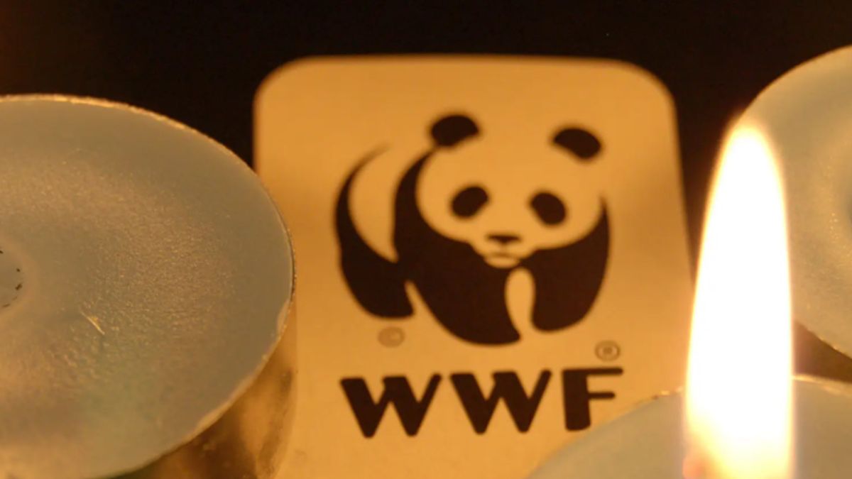 Más de 400 ayuntamientos y 100 empresas españolas se unen a una nueva Hora del Planeta