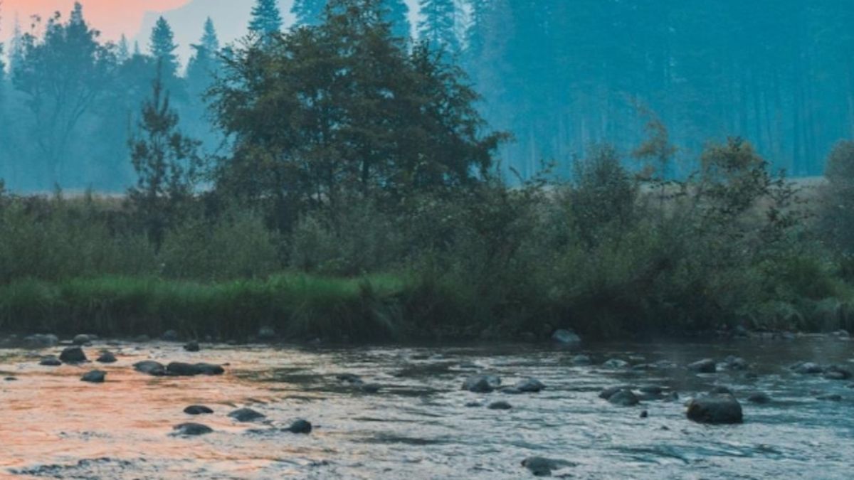 CaixaBank ha financiado con 450 millones de euros proyectos relacionados con la gestión sostenible del agua