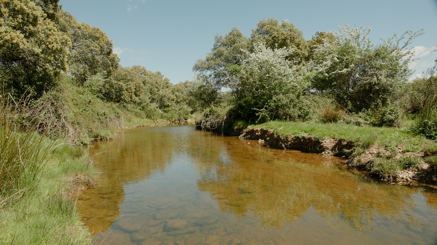 Nestlé Waters fomenta la regeneración del agua