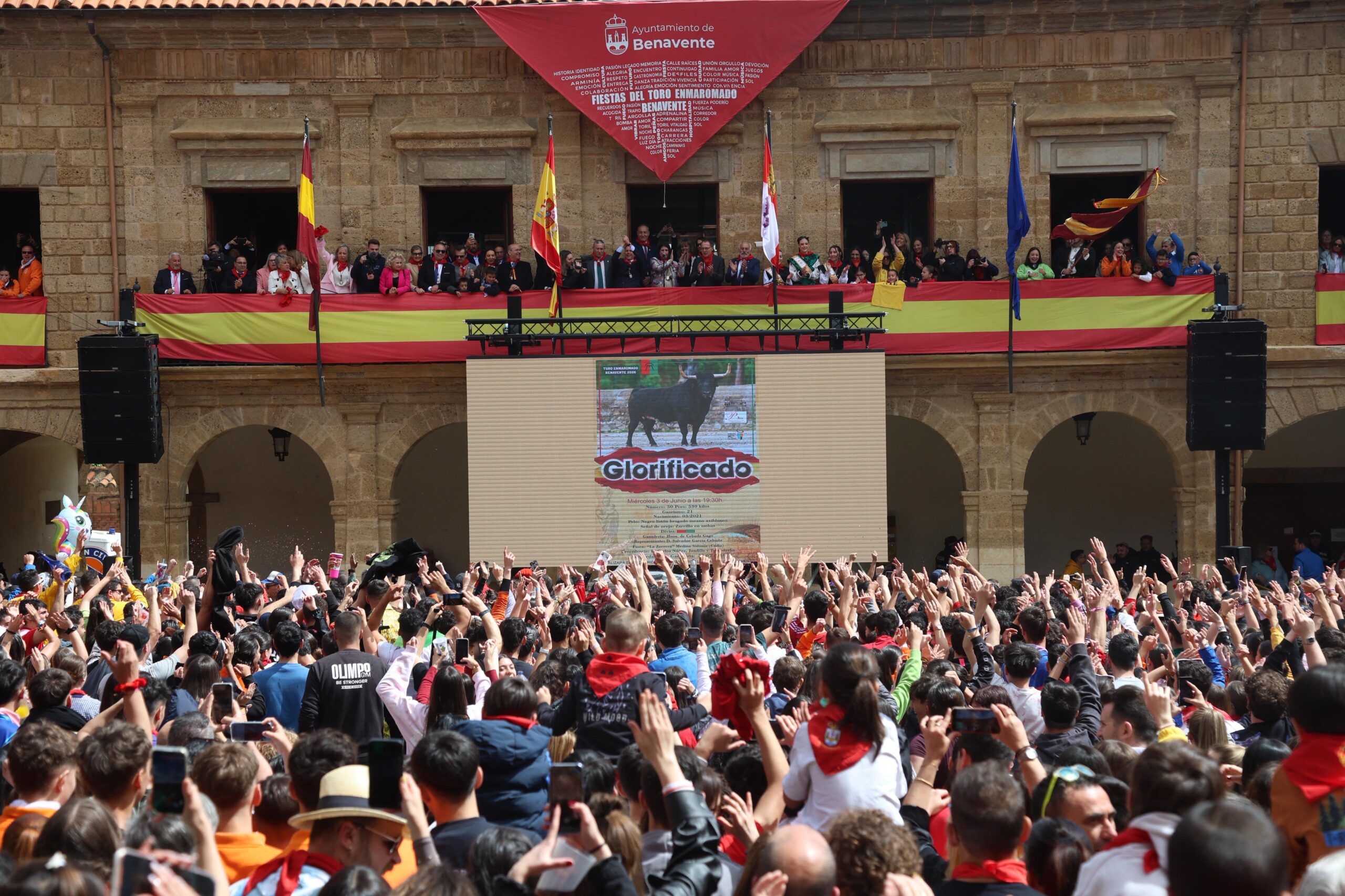 ‘Glorificado’ es este año el Toro Enmaromado que recorrerá Benavente en vísperas del Corpus