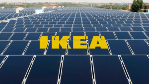 IKEA convierte sus residuos alimentarios en energía renovable junto a Vanguard Renewables