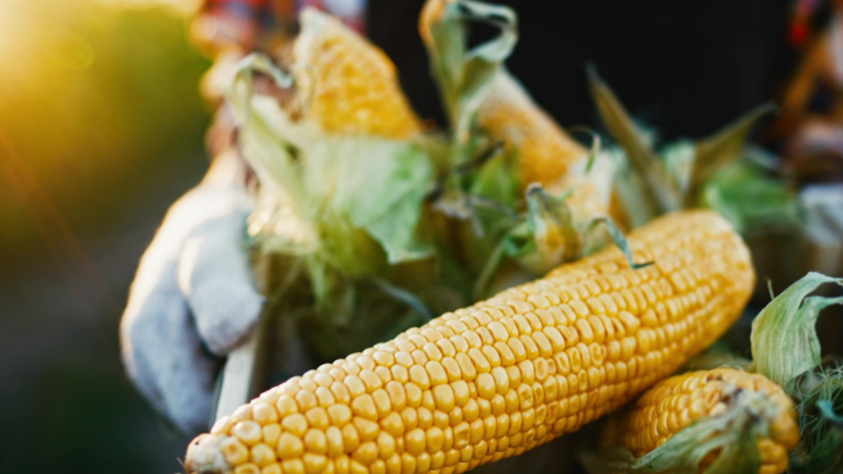Cerca de 30 líderes del sector agroalimentario se unen al Pacto Mundial de la ONU España