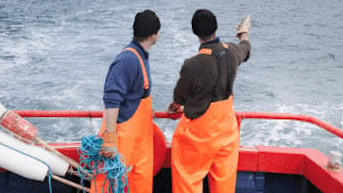 Findus alcanza el 99,9% de pescado de origen sostenible certificado y refuerza su compromiso con los océanos