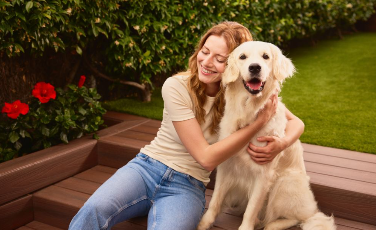 CaixaBank lanza MyBox Mascotas, un seguro para proteger la salud de los animales de compañía
