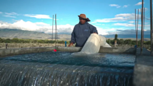 PepsiCo México reduce 30% el uso de agua en agricultura y 70% en plantas industriales