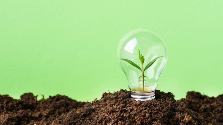 EthiFinance y ESG Book se unen para crear una agencia europea independiente de rating de crédito y de sostenibilidad