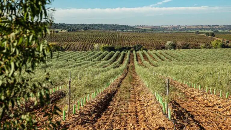 Unilever reduce un 77% las emisiones operativas y avanza hacia la neutralidad climática para 2030